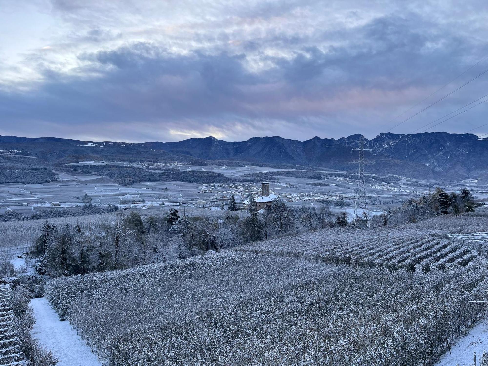 Maso Valer - Agritur Leilighet Tassullo Eksteriør bilde